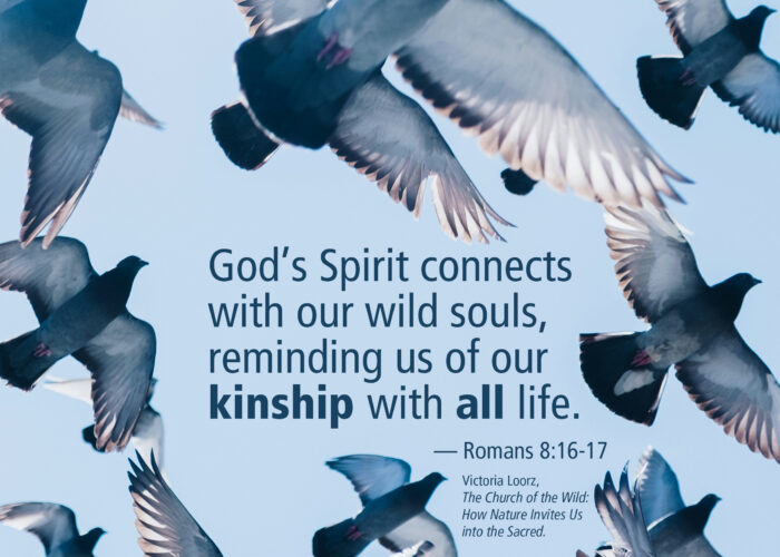 Kindship with all things