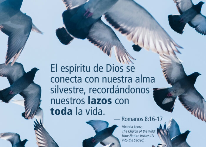 Lazos con toda la vida