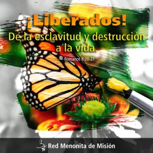 Creación misma será también liberada