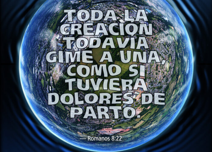 Dolores de parto