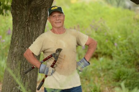 Bob King trimming trees at the Dyck Arboretum of the Plains