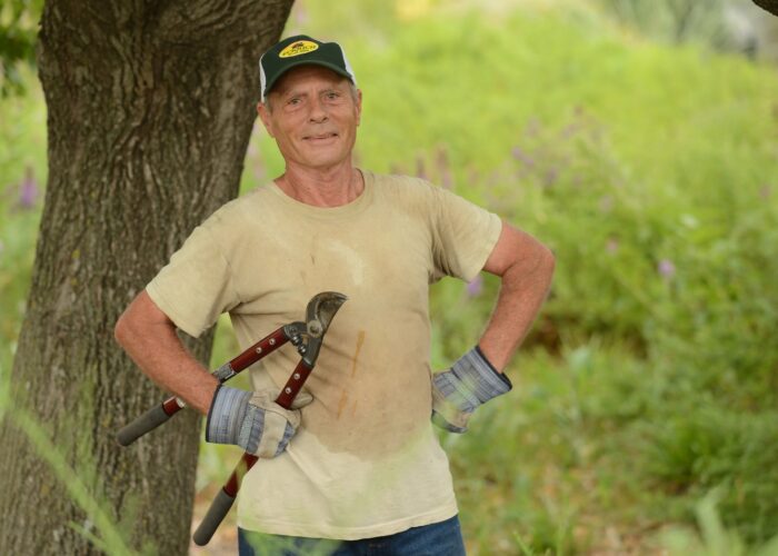 Bob King trimming trees at the Dyck Arboretum of the Plains