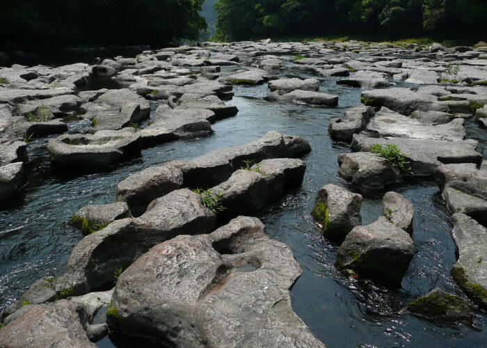 ​Potholes in the Mochio Sekino-o Prefectural Park