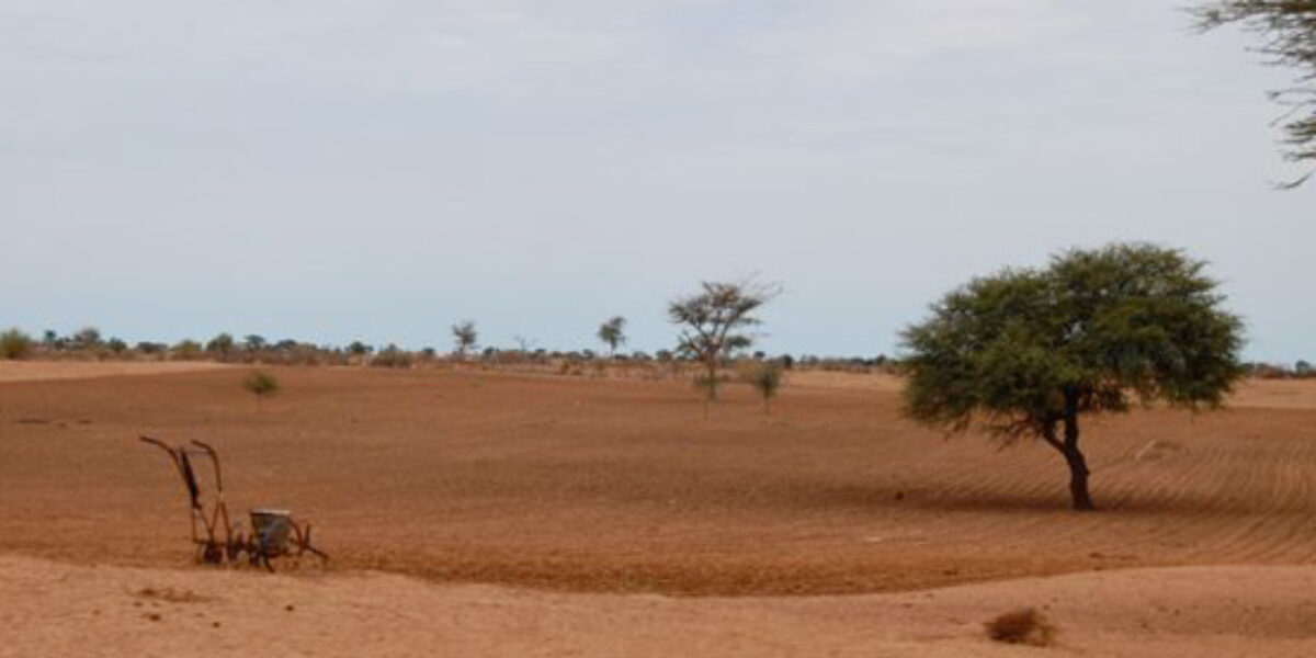 Senegal