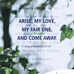 Come away