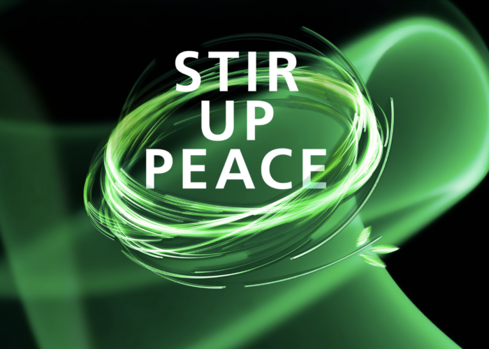 Stir-up-peace-color-lines