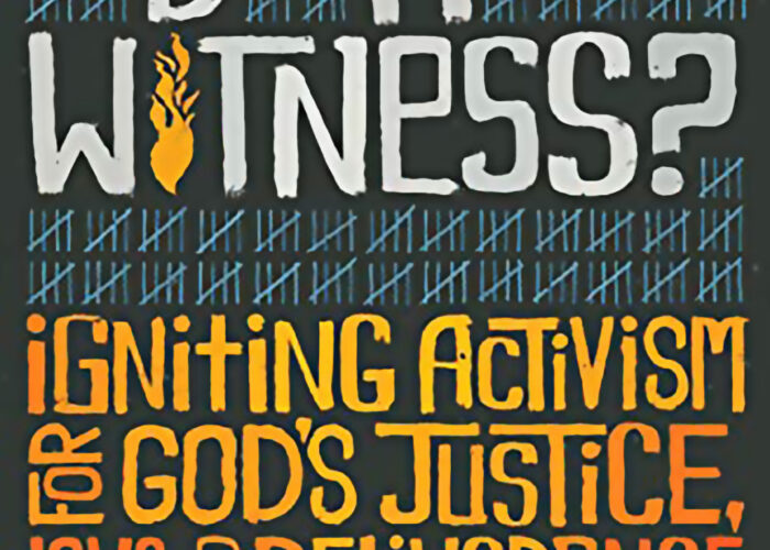 WhoWillBeAWitness_book