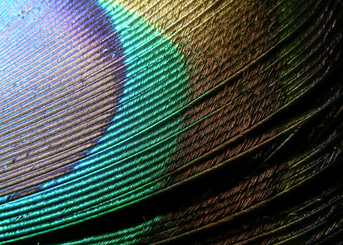 SANYO DIGITAL CAMERA