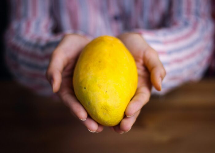 Photo by Ali Zolghadr on Unsplash