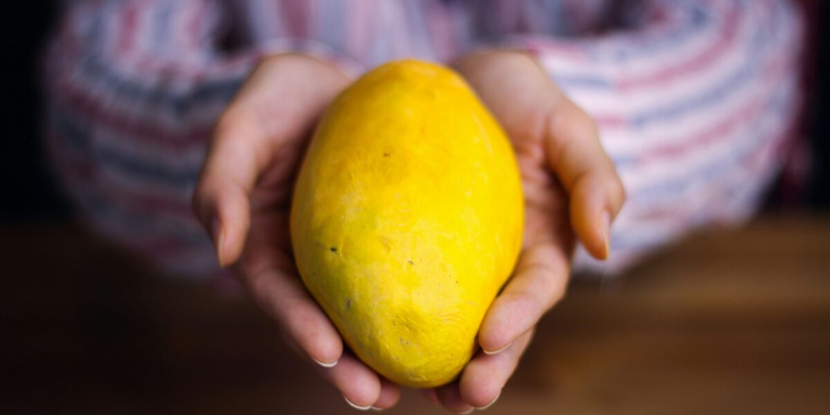 Photo by Ali Zolghadr on Unsplash