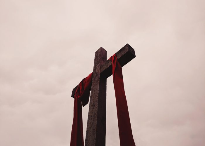 ​Photo by Alicia Quan on Unsplash