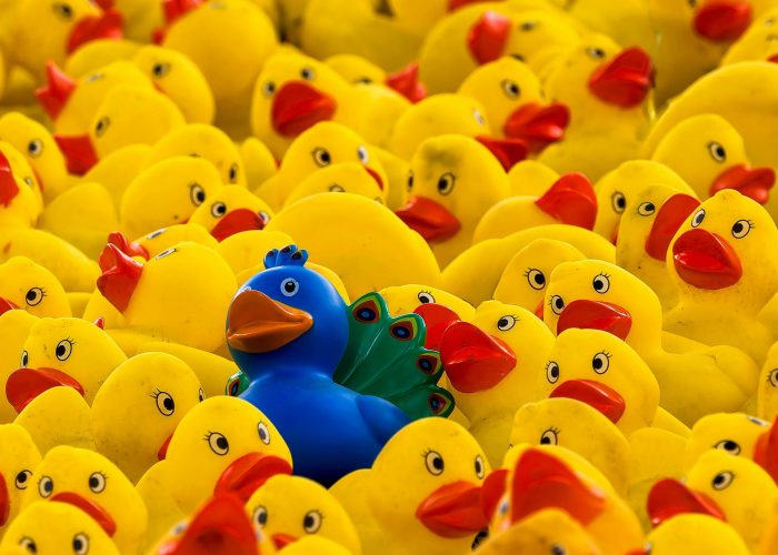 bob-jenkin-JLTrt22or3I-unsplash