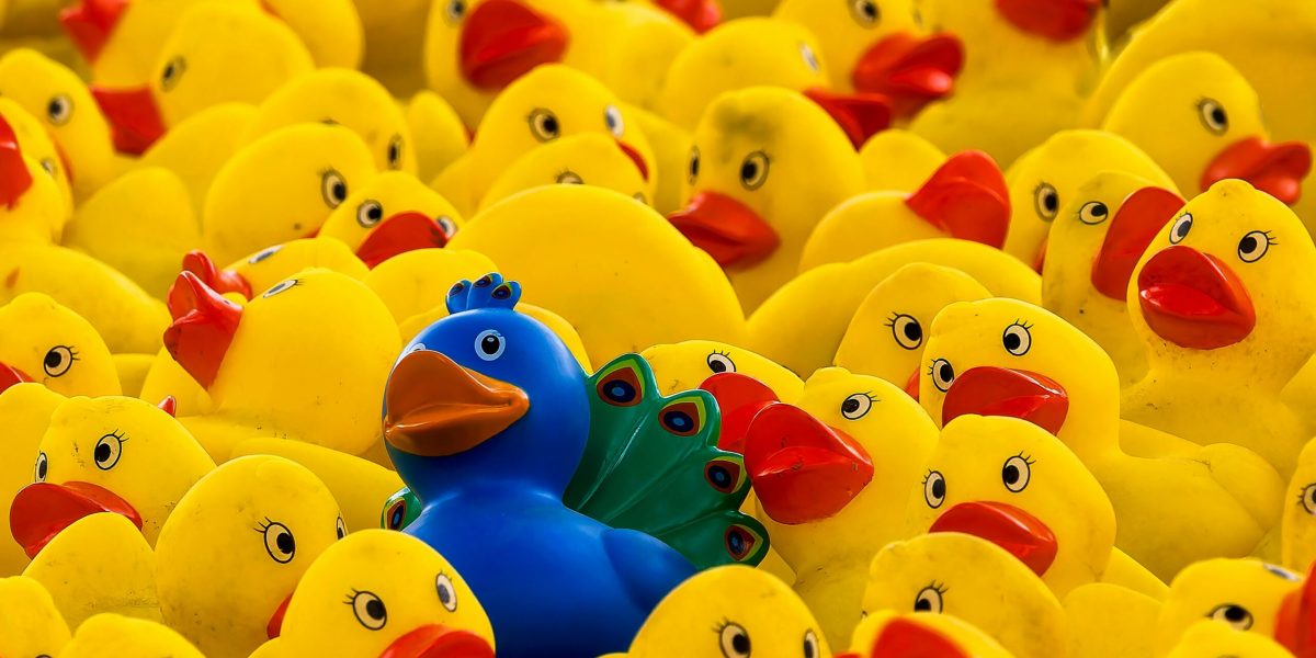 bob-jenkin-JLTrt22or3I-unsplash