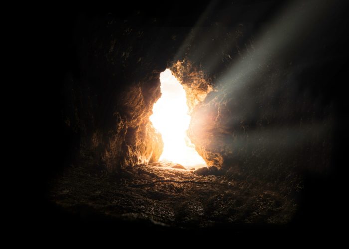 bruno-van-der-kraan-v2HgNzRDfII-unsplash