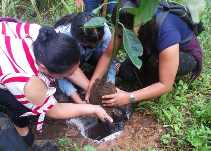 Professor Luvia Guillermo de Ac (left) assists students in planting an avocado tree.