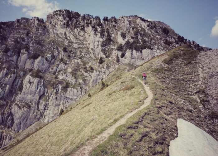 ​Photo by Fabien Wl on Unsplash.