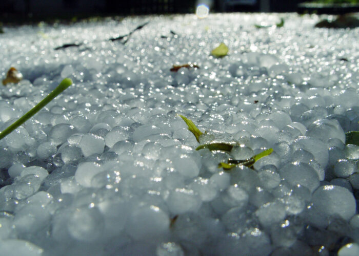 ​Photo by Scott Carter from FreeImages. 