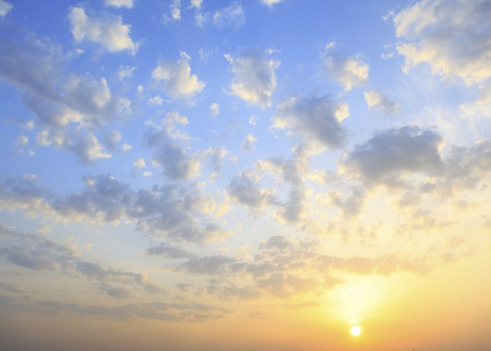 iStock_000009526567XLarge