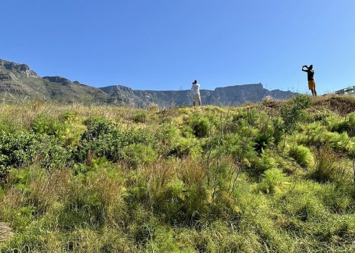 District Six location