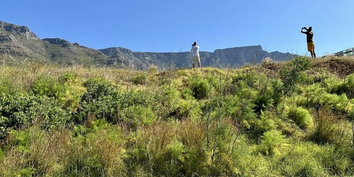 District Six location