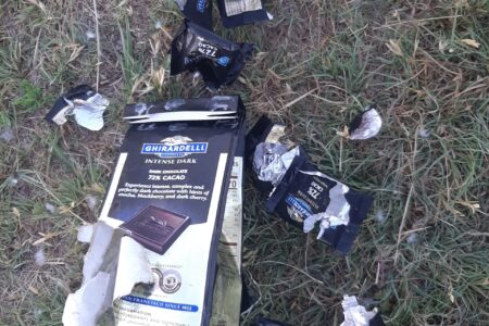 These are the foil remains of a feast enjoyed by a raccoon who ravaged chocolates belonging to Laurie Oswald Robinson