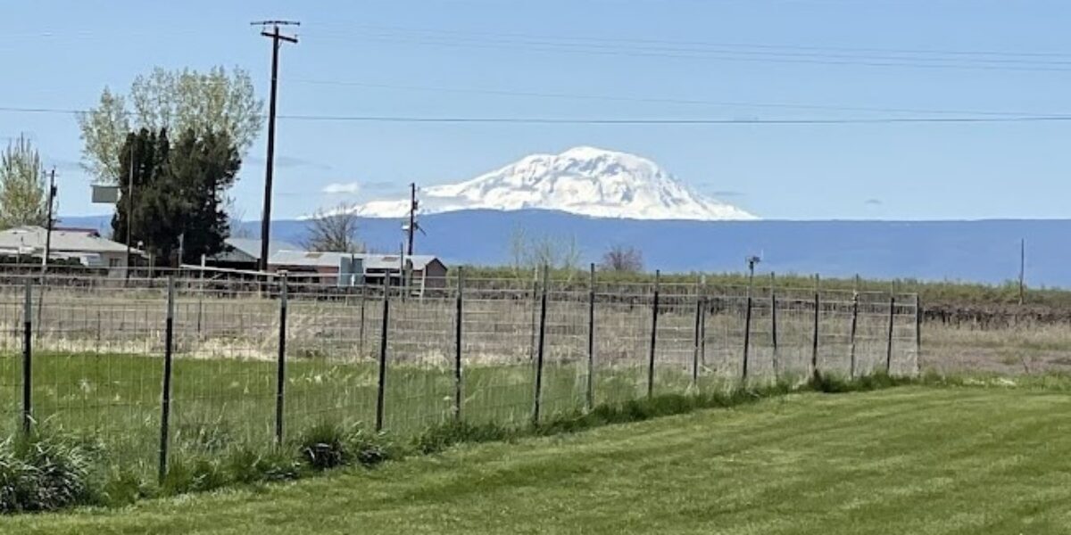 Participants on a Just Peace Pilgrimage to the lands of Confederated Tribes and Bands of the Yakama Nation were greeted by Pahto (Mt. Adams), a sacred mountain at the center of Yakama cosmology. Photo by Bruce Kuhns.