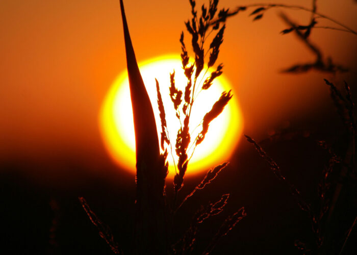 setting-sun-1389091-1920x1280