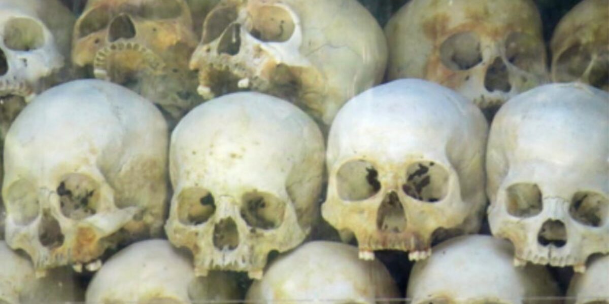 skull