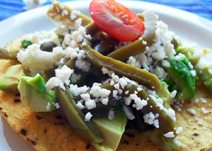 tender-cactus-tostadas1